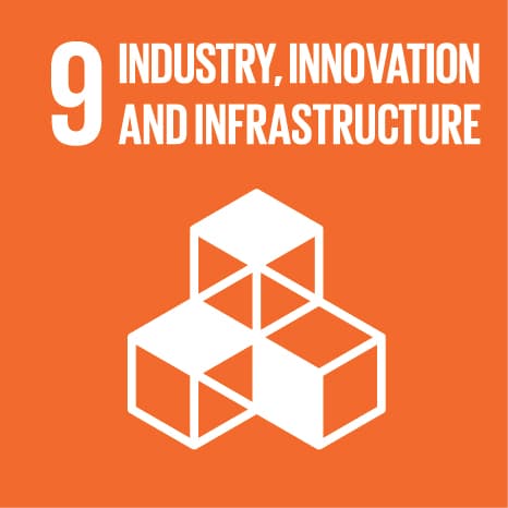 UN Sustainable Development Goal 9: Industry, Innovation and Infrastructure